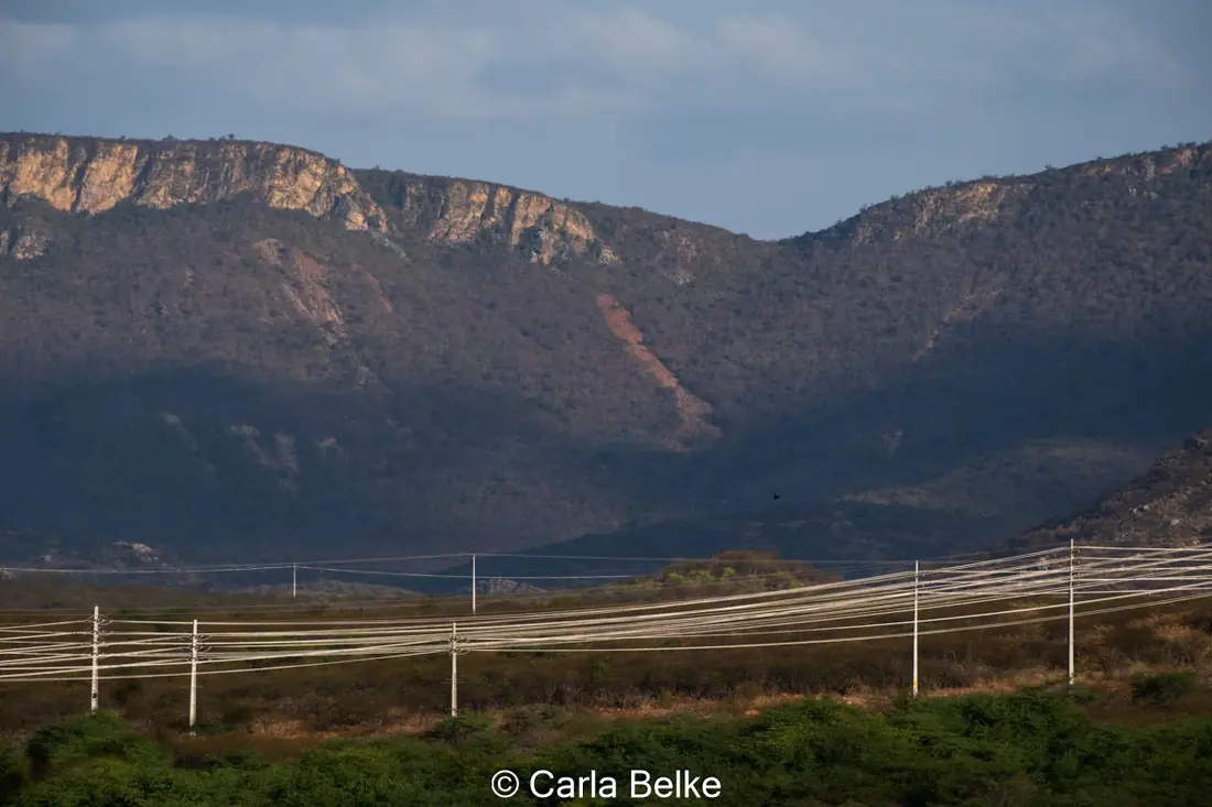 Serra e vegetação do sertão em Lajes-RN
